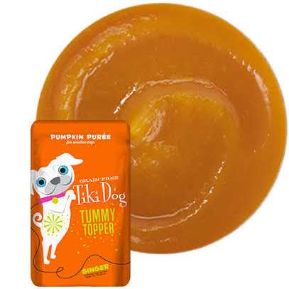 Tiki Dog Tummy Topper Pumpkin Ginger