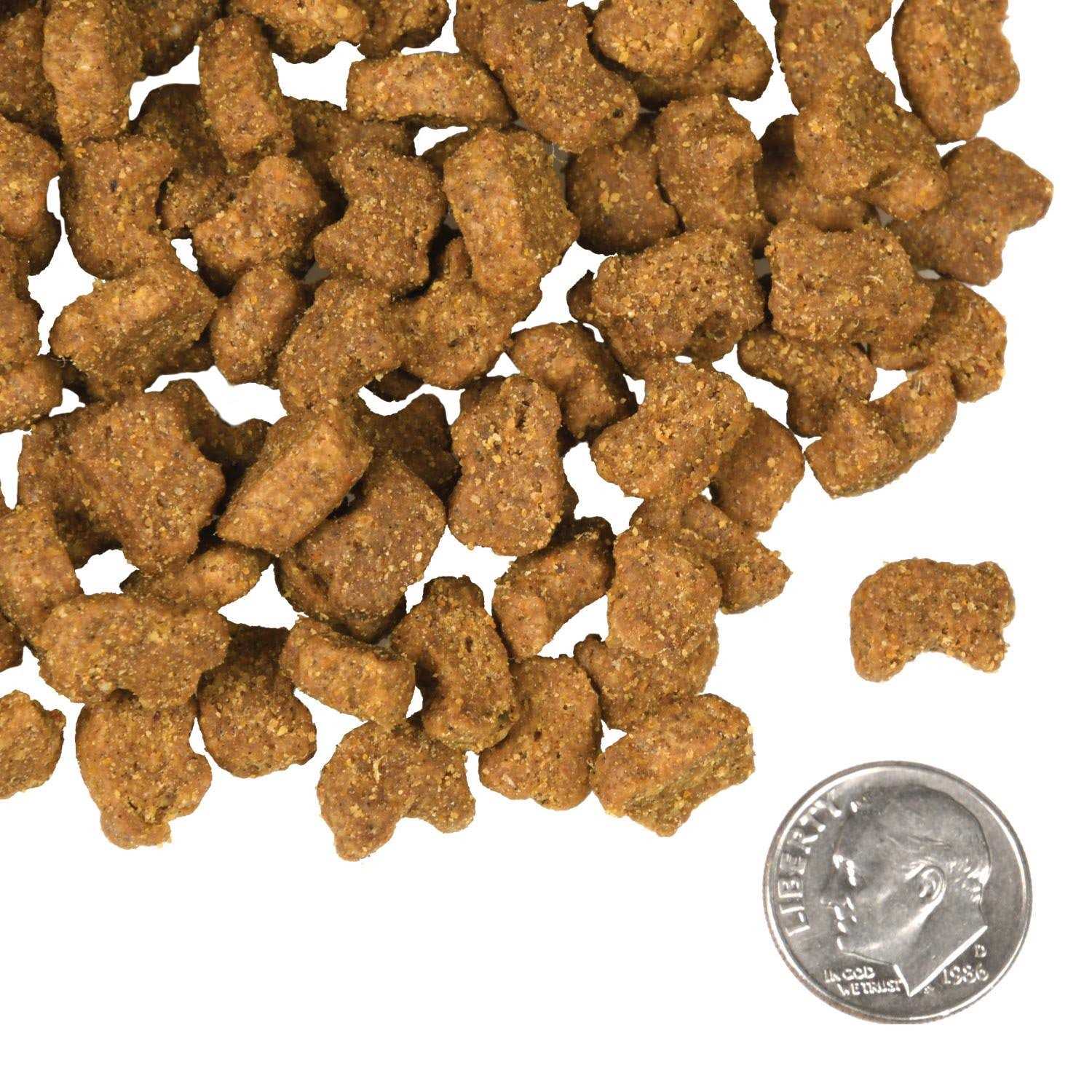 Fromm Four Star Lamb & Lentil Dog Food