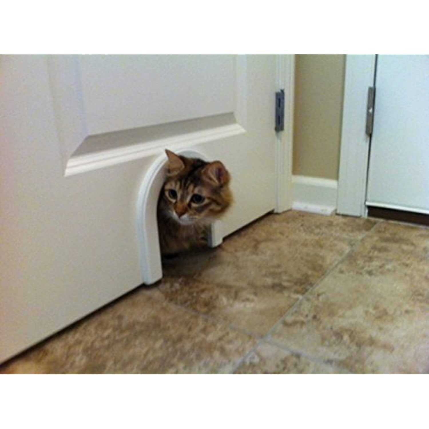 Cathole Cat Door with Brush