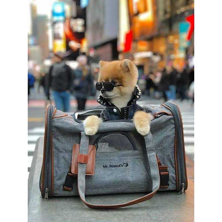 Gold Series Expandable Airline Approved Pet Carrier Mr. Peanut&s