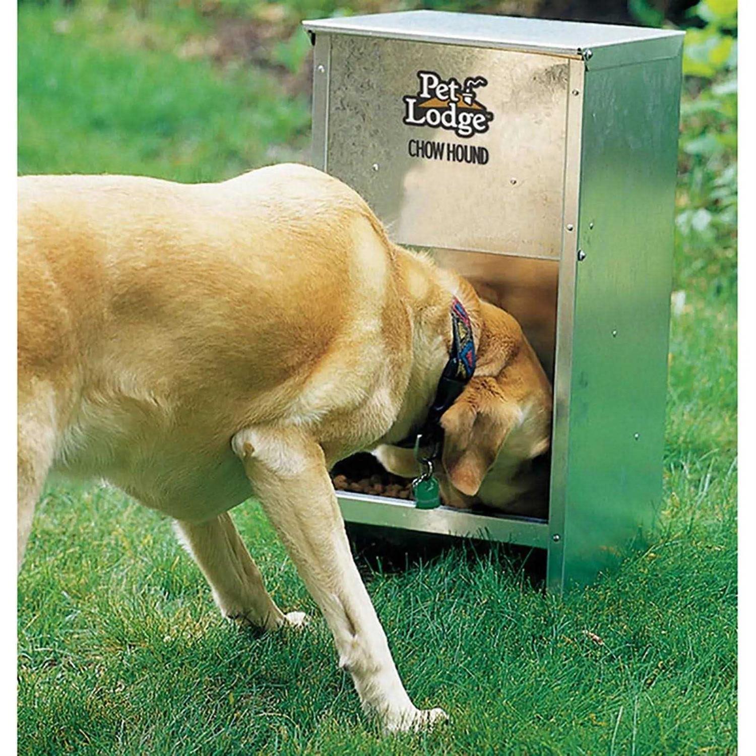 Pet Lodge CH12 Chow Hound 12 Pound Dog Feeder