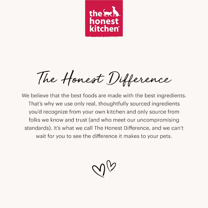 The Honest Kitchen Chicken Pate Wet Cat Food