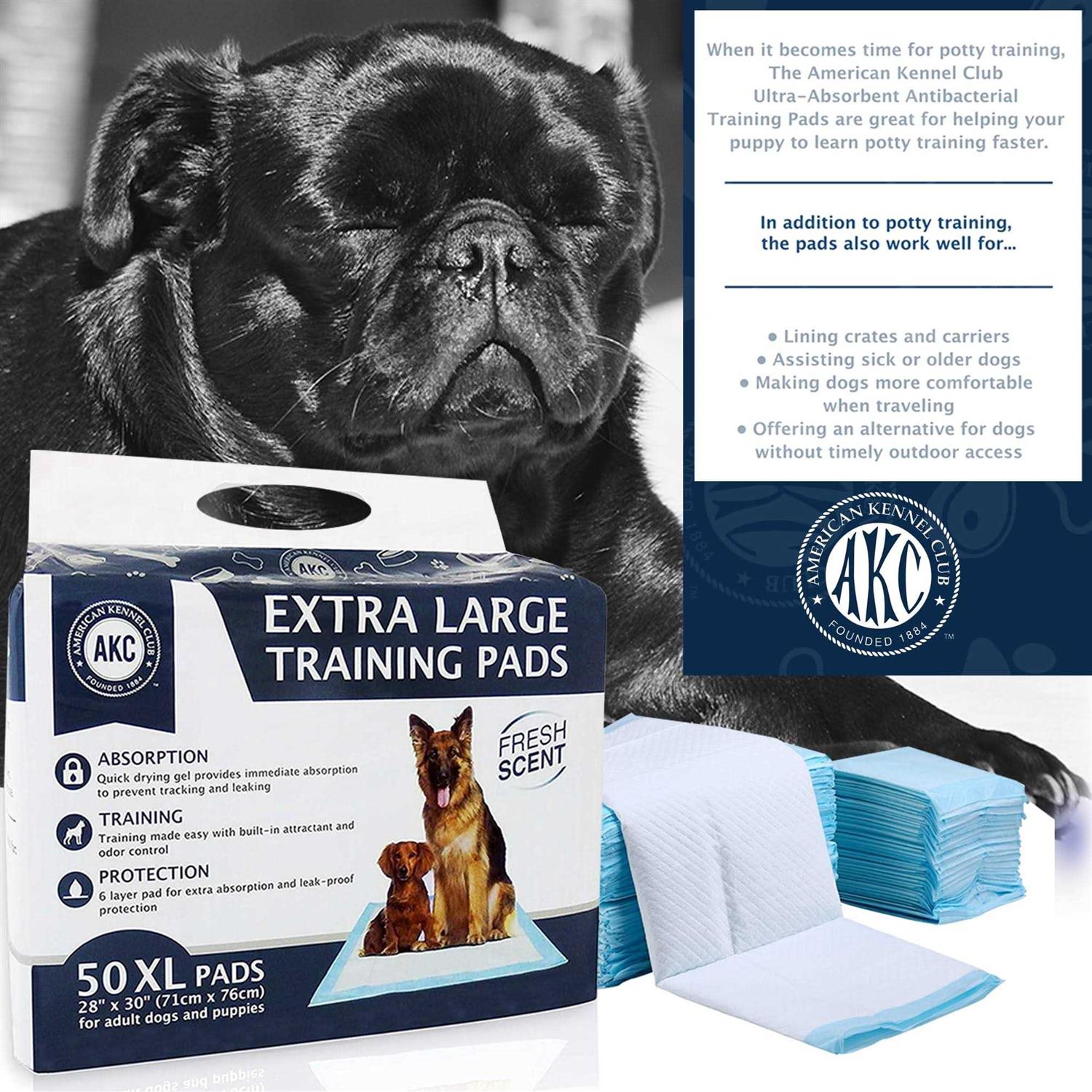 American Kennel Club Training Pads