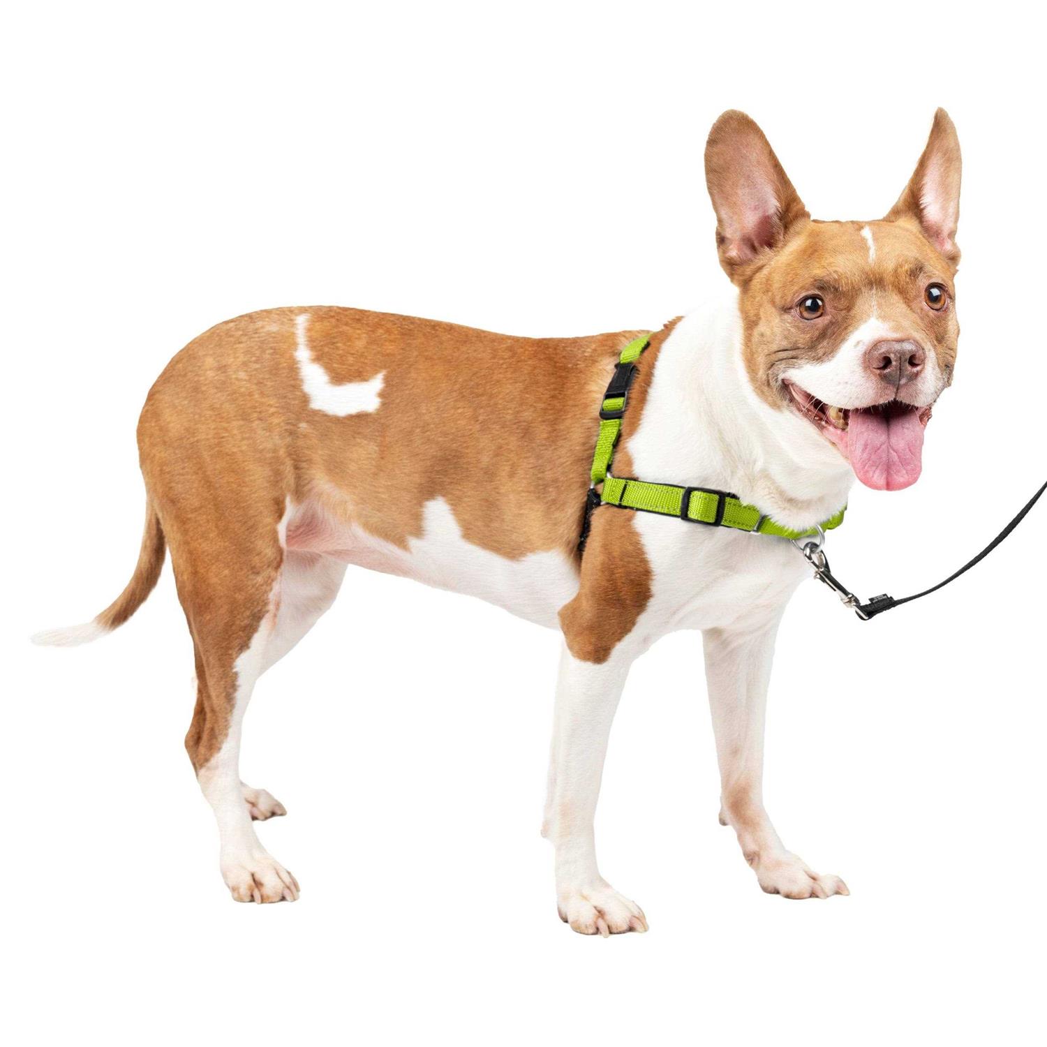 PETSAFE Easy Walk Harness