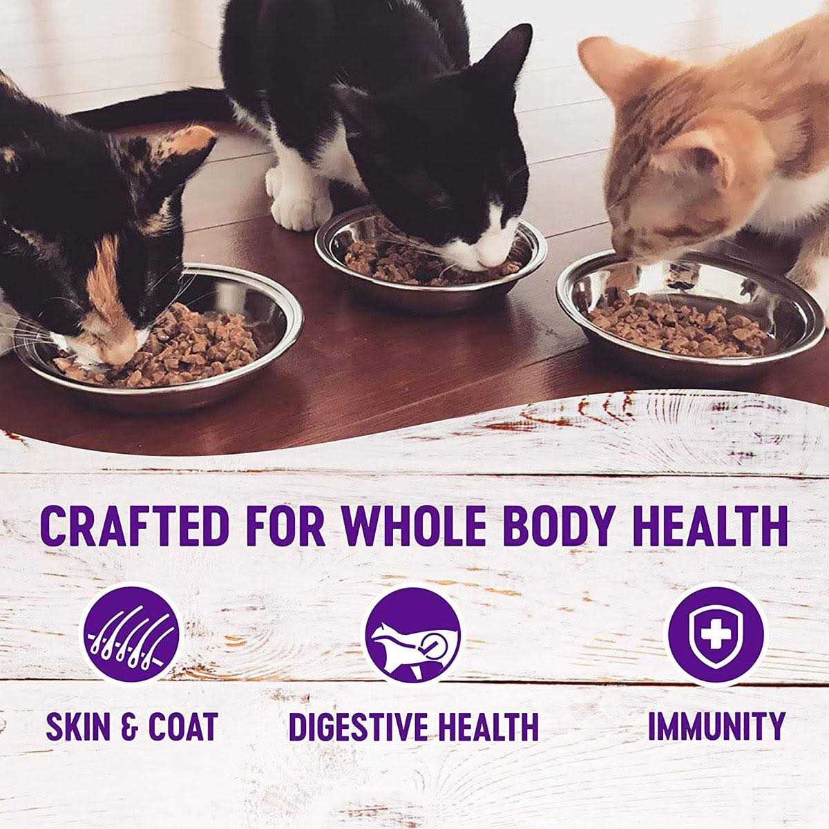 Wellness Healthy Indulgence Morsels Cat Food