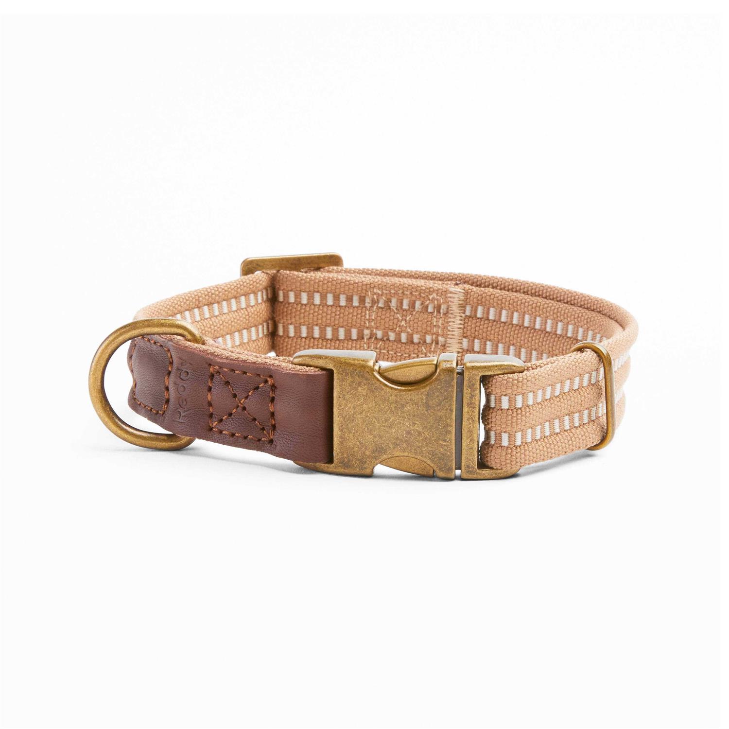 Reddy Webbed Dog Collar