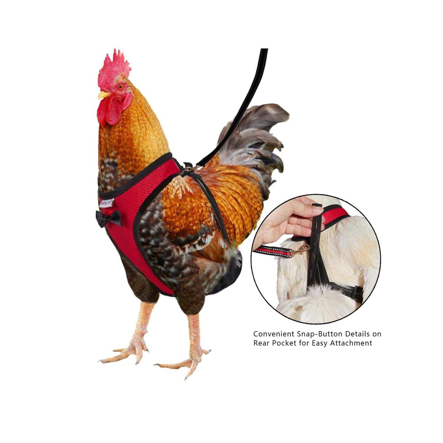 Yesito Chicken Harness Hen Size with 6ft Matching Leash