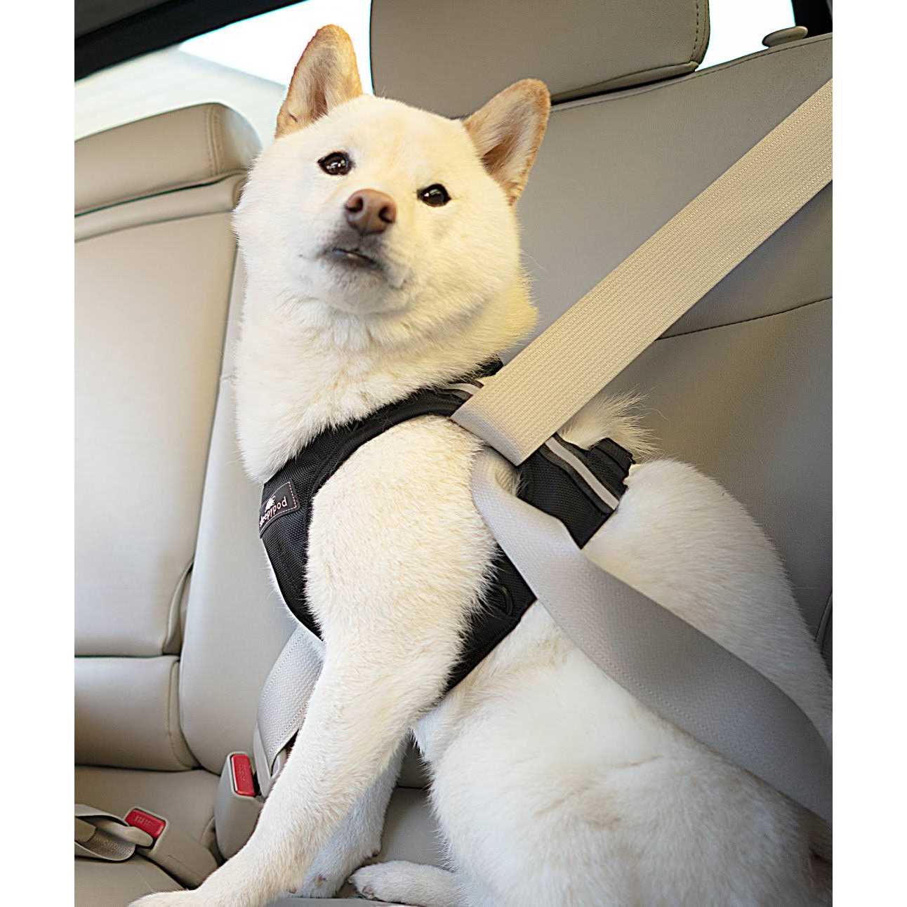 Sleepypod Clickit Terrain Safety