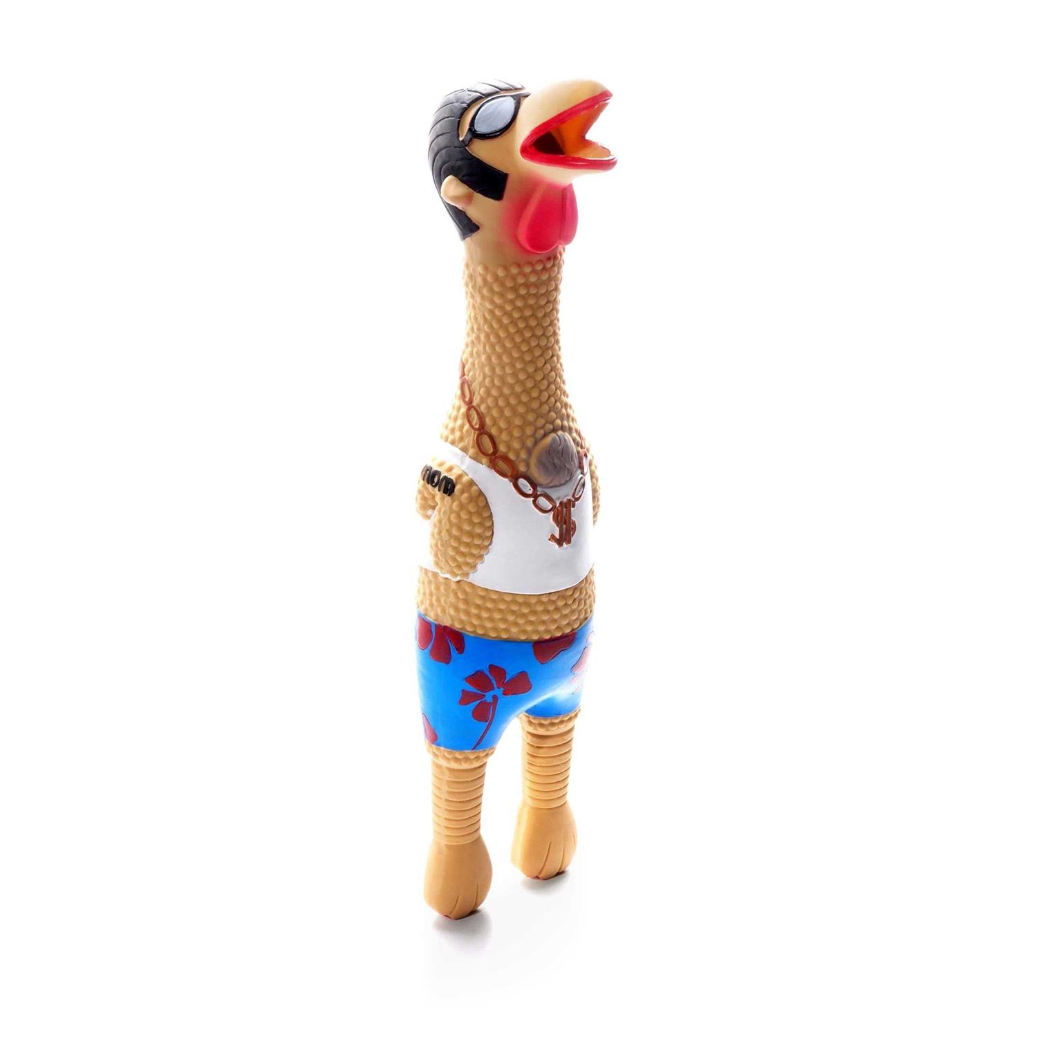Charming Pet Squawkers Earl Dog Toy