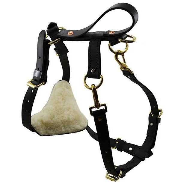 Ray Allen Manufacturing Signature K9 Biothane Multi-Function Harness