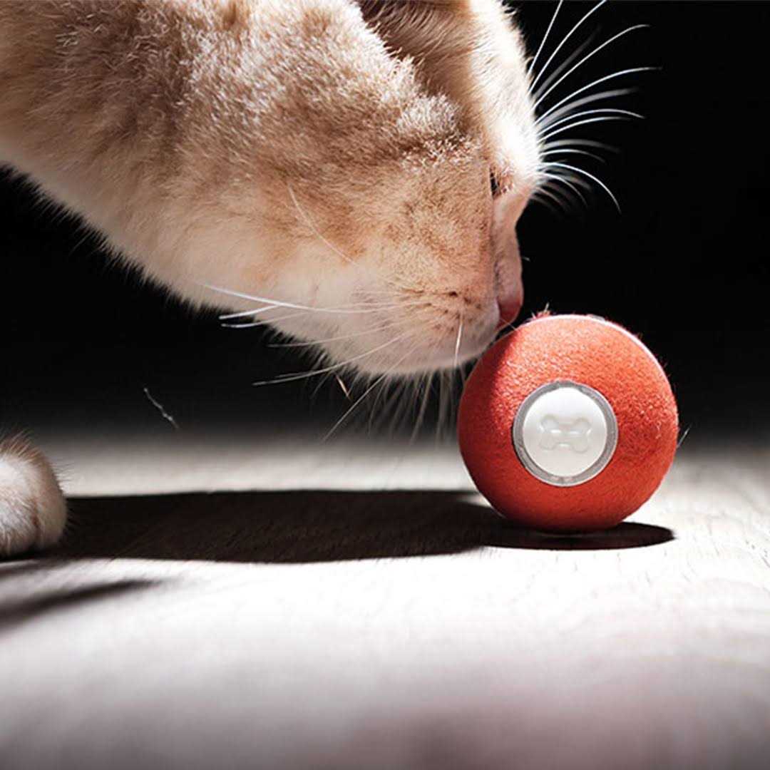 Cheerble Ball Smart interactive Cat Toy 1.7 Inch