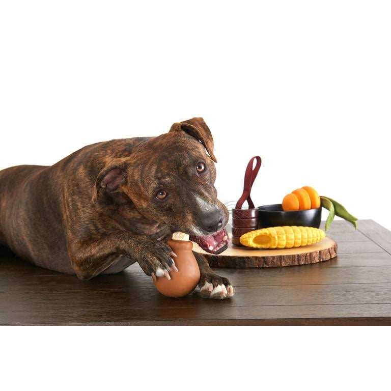 Barkbox Super Chewer Tough Dog Toys