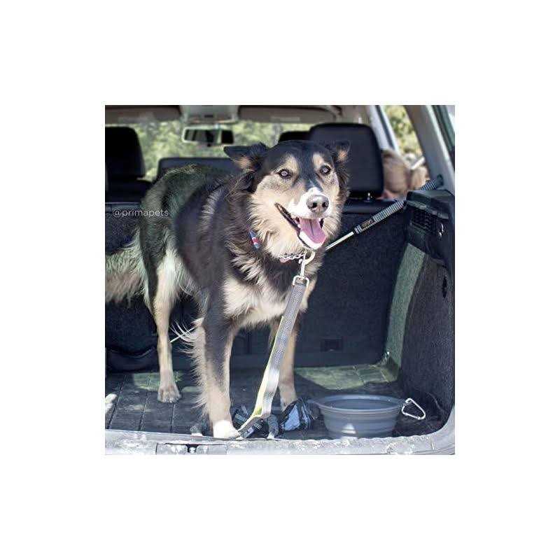 Prima Pets Prima Collapsible Silicone Water Travel Bowl with Clip Dog and Cat