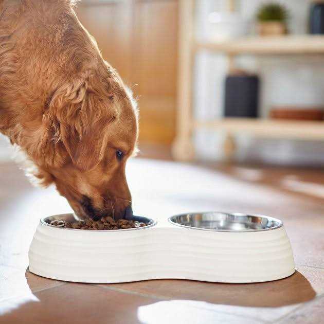 Frisco Stainless Steel Double Dog Bowls with Melamine Stand