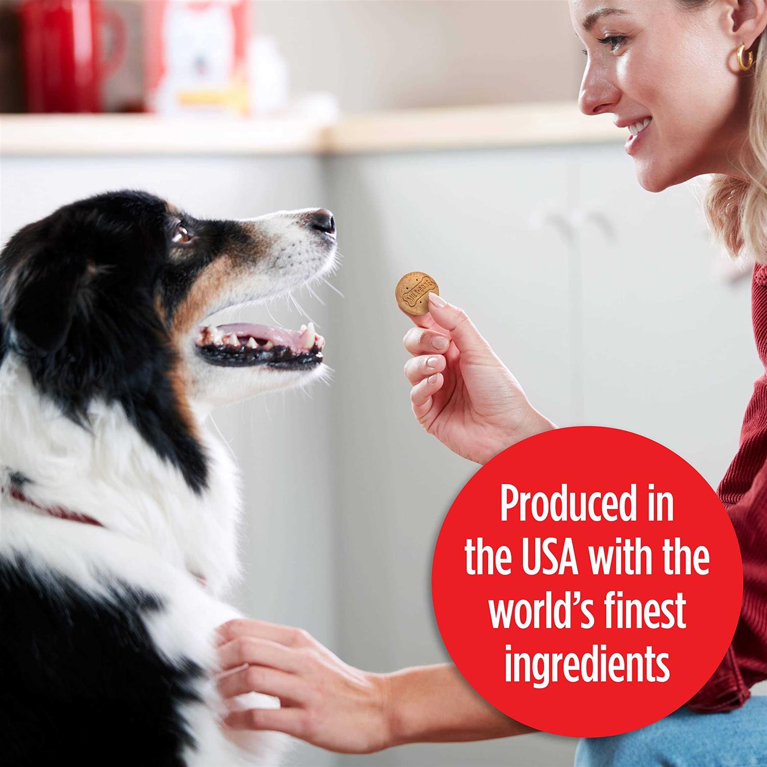 Milk-Bone Stacked Molasses & Peanut Butter Dog Treats