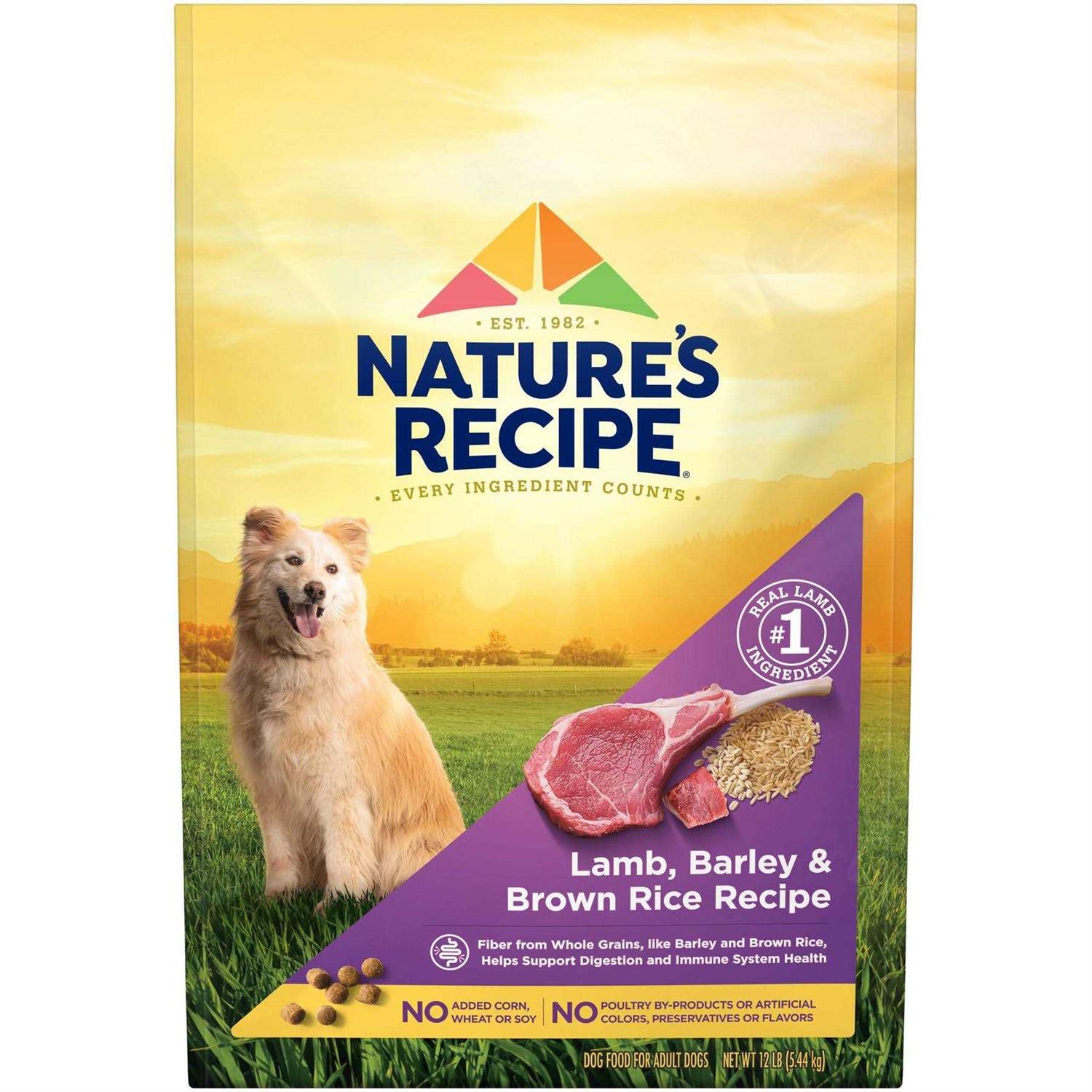 Nature’s Recipe Adult Dry Dog Food