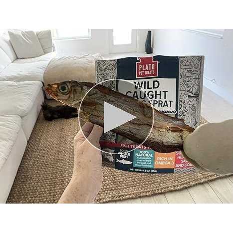 Plato Dog Baltic Herring