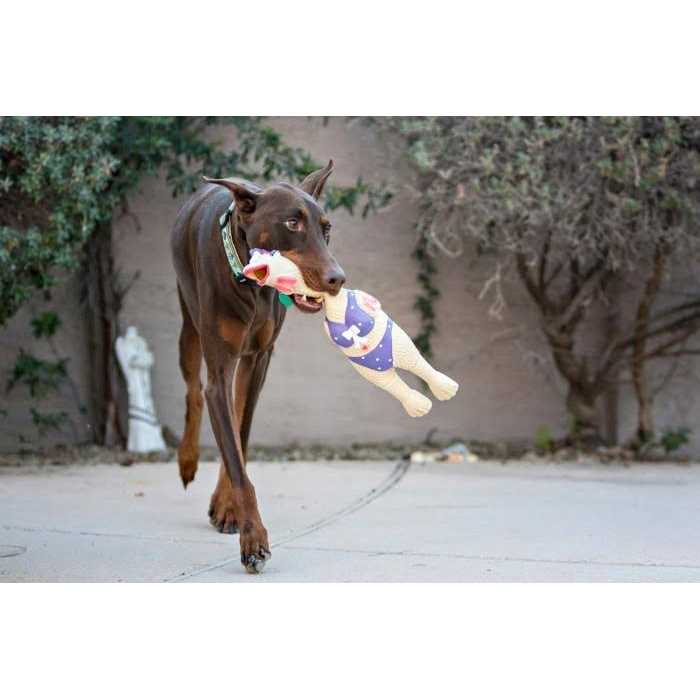 Charming Pet Squawkers Earl Dog Toy