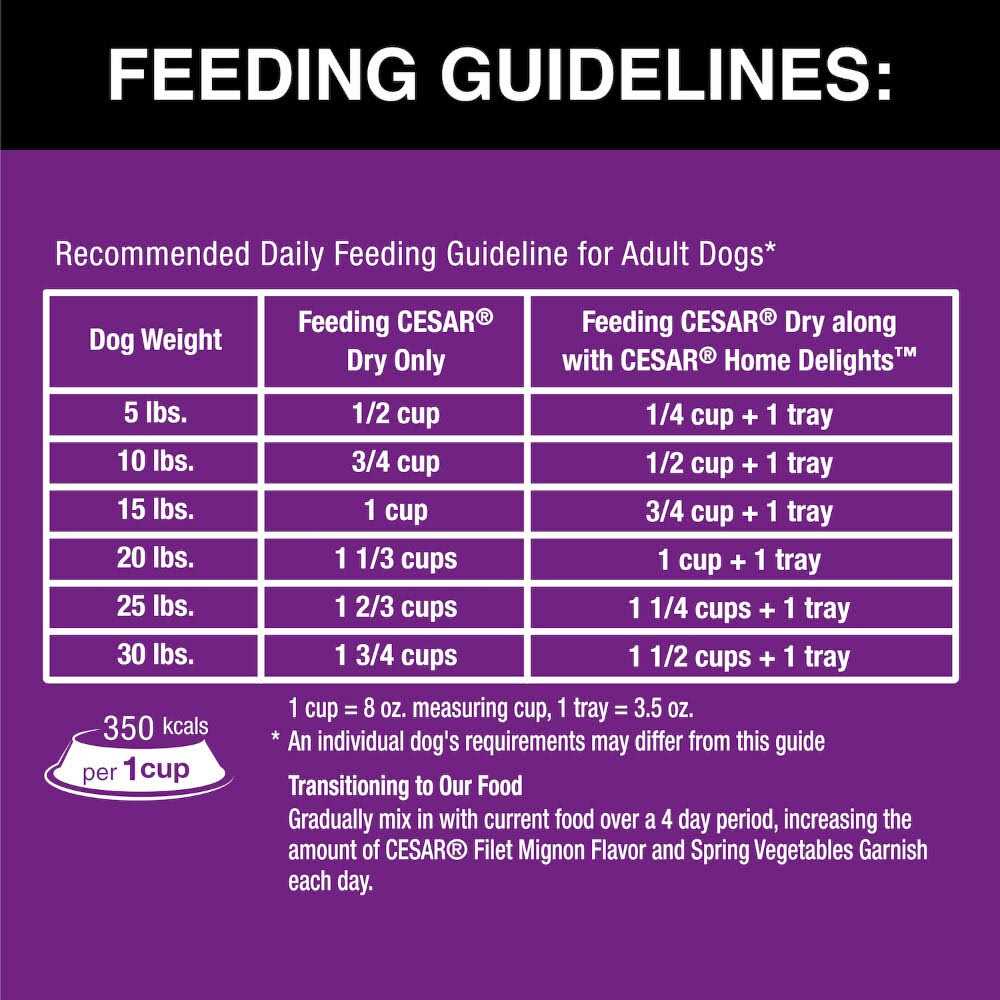 Cesar Filet Mignon Flavor & Spring Vegetables Garnish Small Breed Dry Dog Food