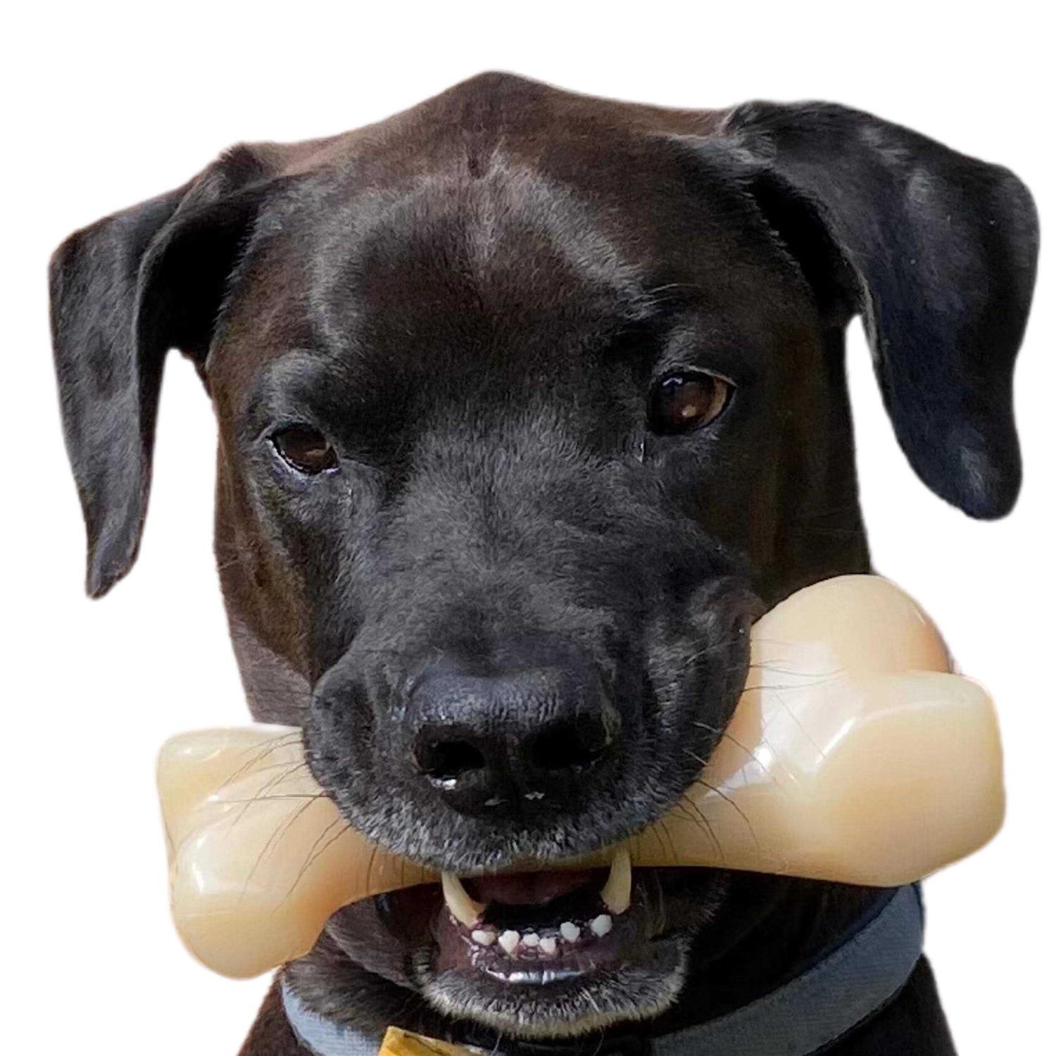 Nylabone Power Chew Big Chew Beef Bone