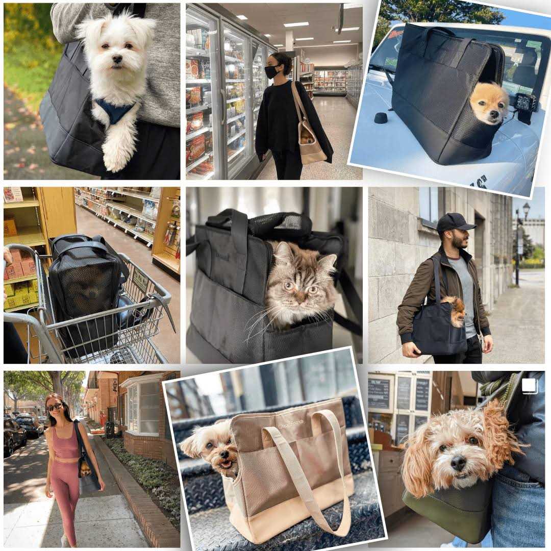 Pet Tote Bag for Small Dogs and Cats by Oskar&Friends