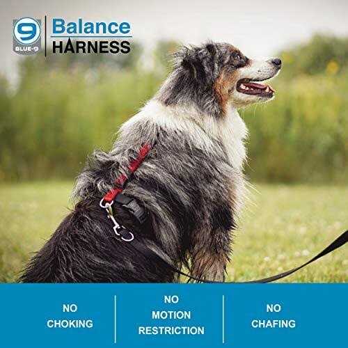 Blue-9 Buckle-Neck Balance Harness Fully Customizable Fit No-Pull Harness Ideal for Dog Training and Obedience