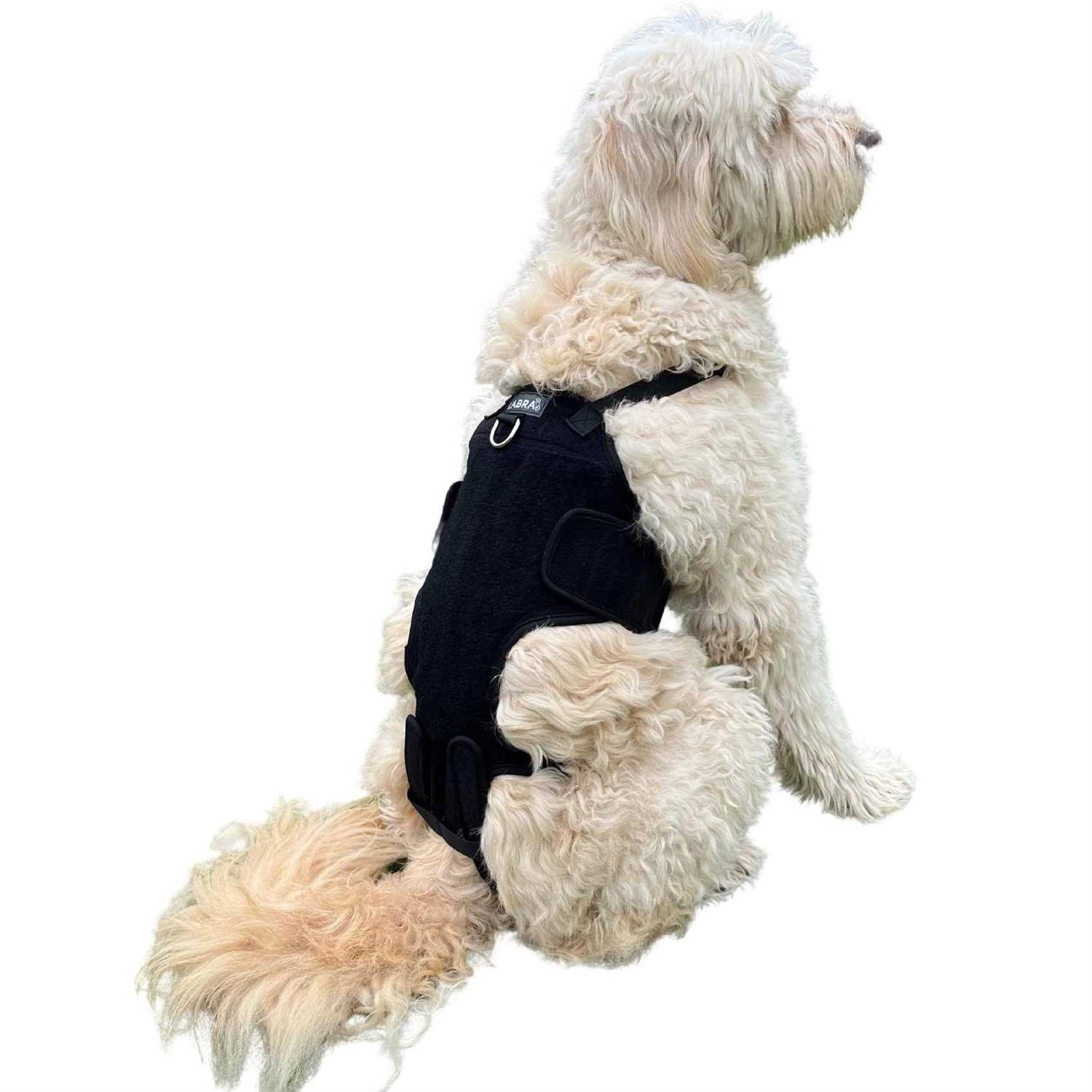 Labra Dog Canine K9 Back Brace IVDD Spine Pain & Spinal Injury
