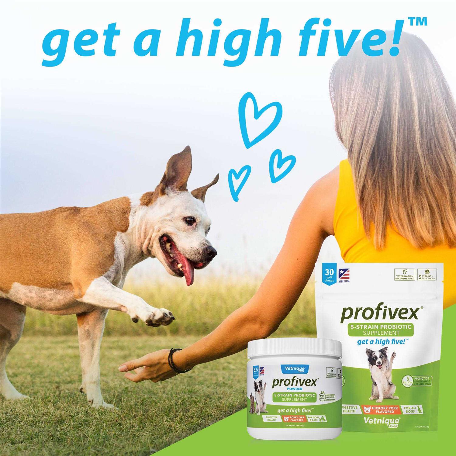 Profivex Probiotic Powder for Dogs & Cats