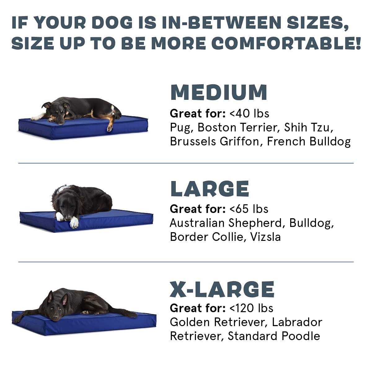 Barkbox Outdoor Dog Bed Waterproof Dog or Cat Mattress Bed with Removable Cover