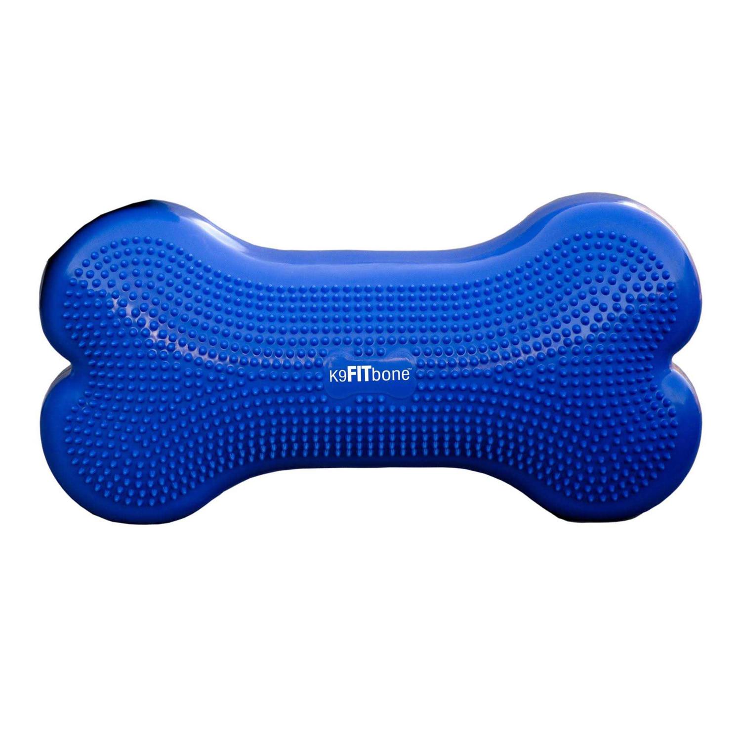 FitPAWS K9FITbone Agility Training