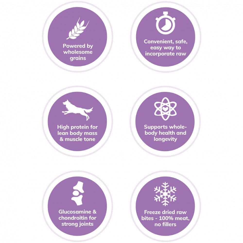 Wellness Core RawRev Wholesome Grains Original Recipe Dry Dog Food