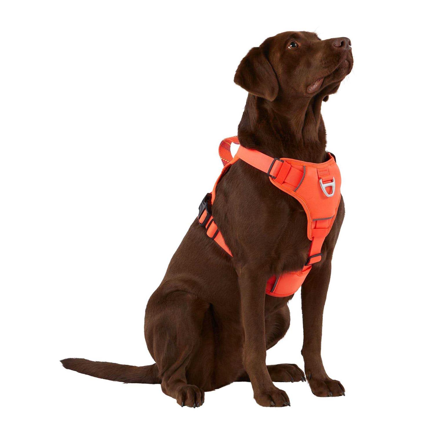 Arcadia Trail Neoprene Dog Harness