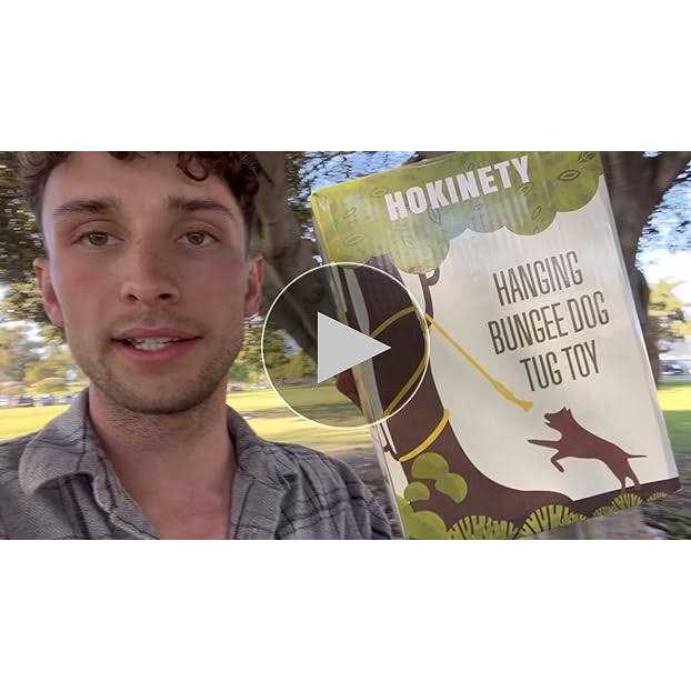 HOKINETY Dog Hanging Bungee Tug Toy Interactive Tether Tug-of-War for Pitbull Small to Large Dogs to Exercise and Fun Solo Play