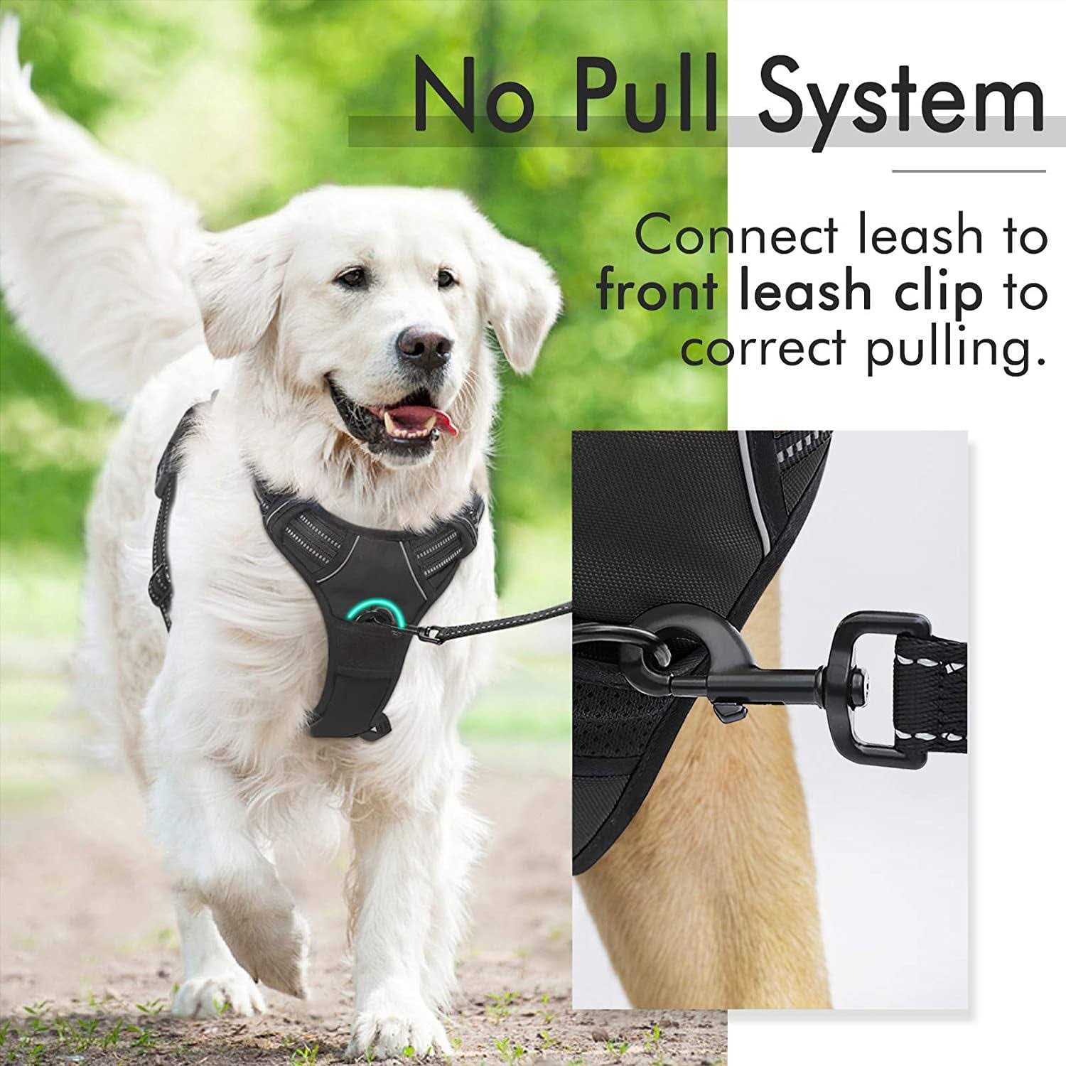 rabbitgoo Dog Harness No Pull Pet Harness with 2 Leash Clips Adjustable Soft Padded Dog Vest