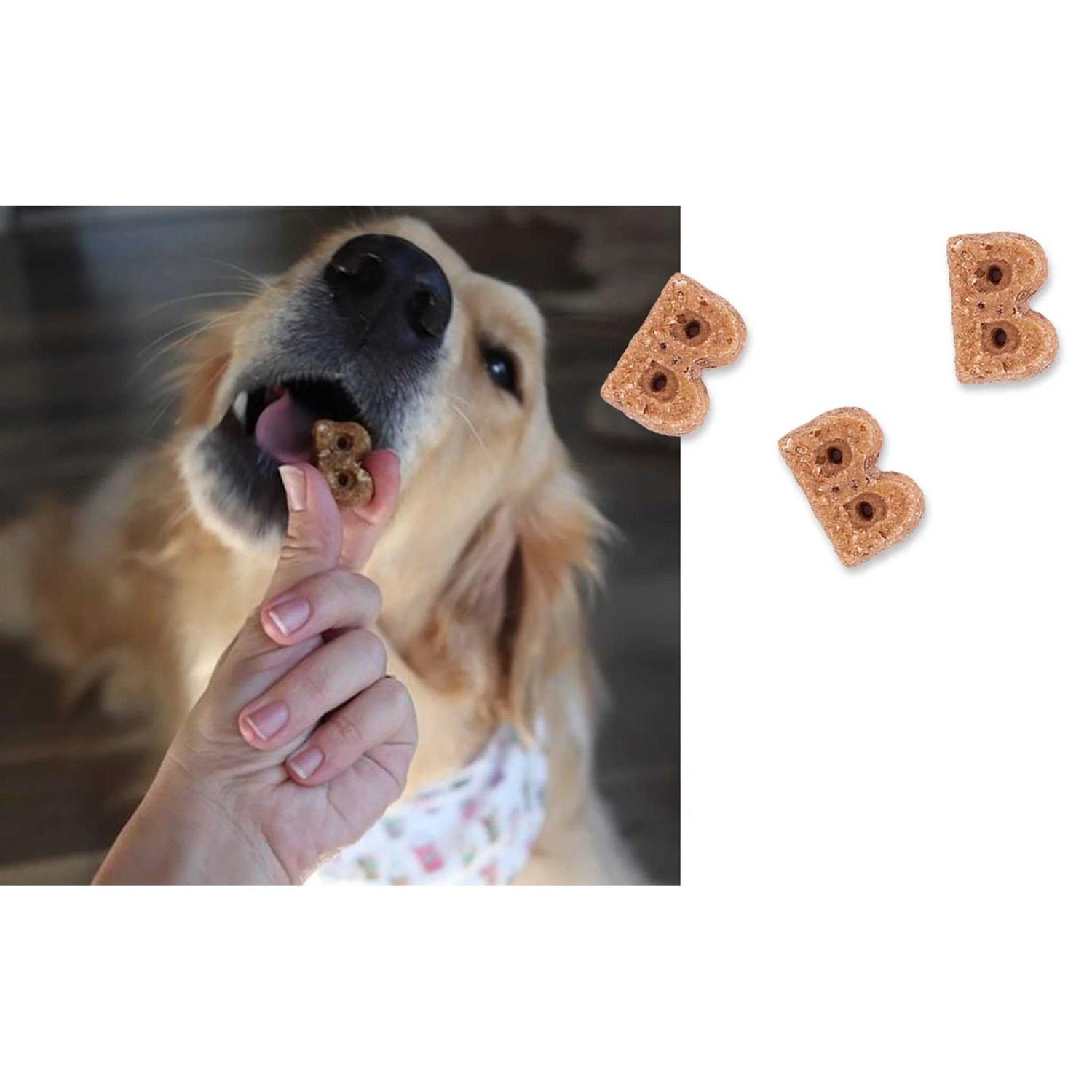 Bocce’s Bakery Berry Sorbet Soft & Chewy Dog Treats