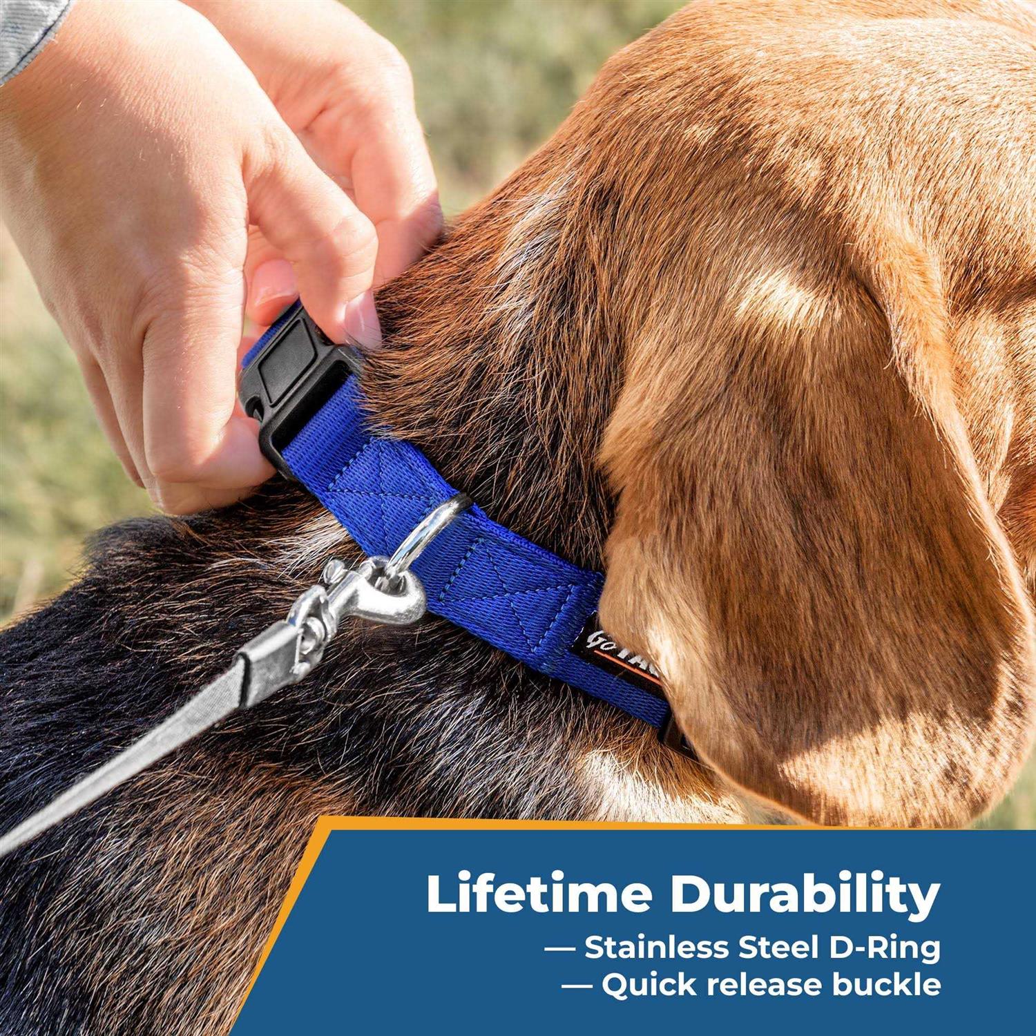 GoTags Personalized Dog Collar, Custom Embroidered with Pet Name and Phone Number and and