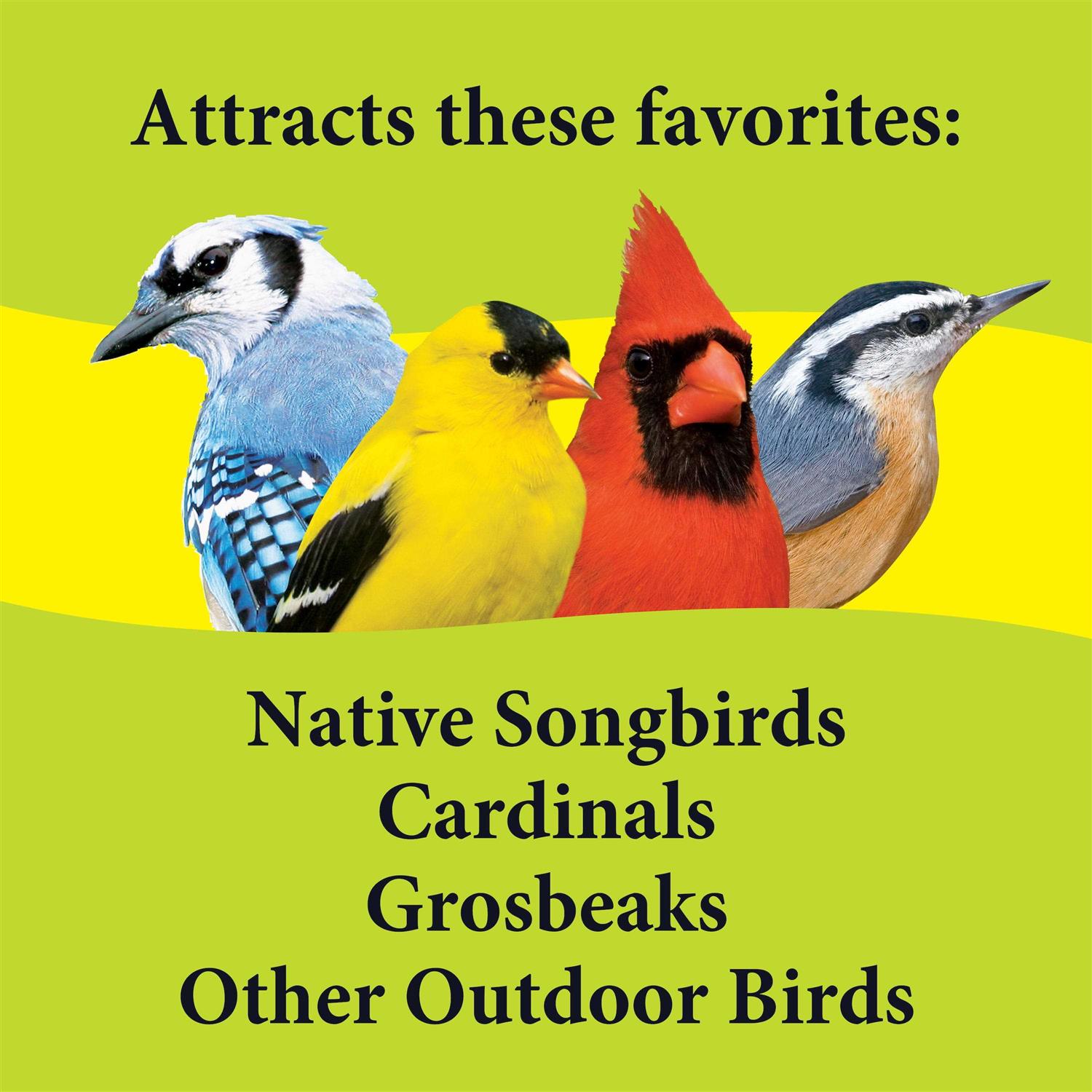 3-d Pet Products Deck Porch Patio Blend Wild Bird Food