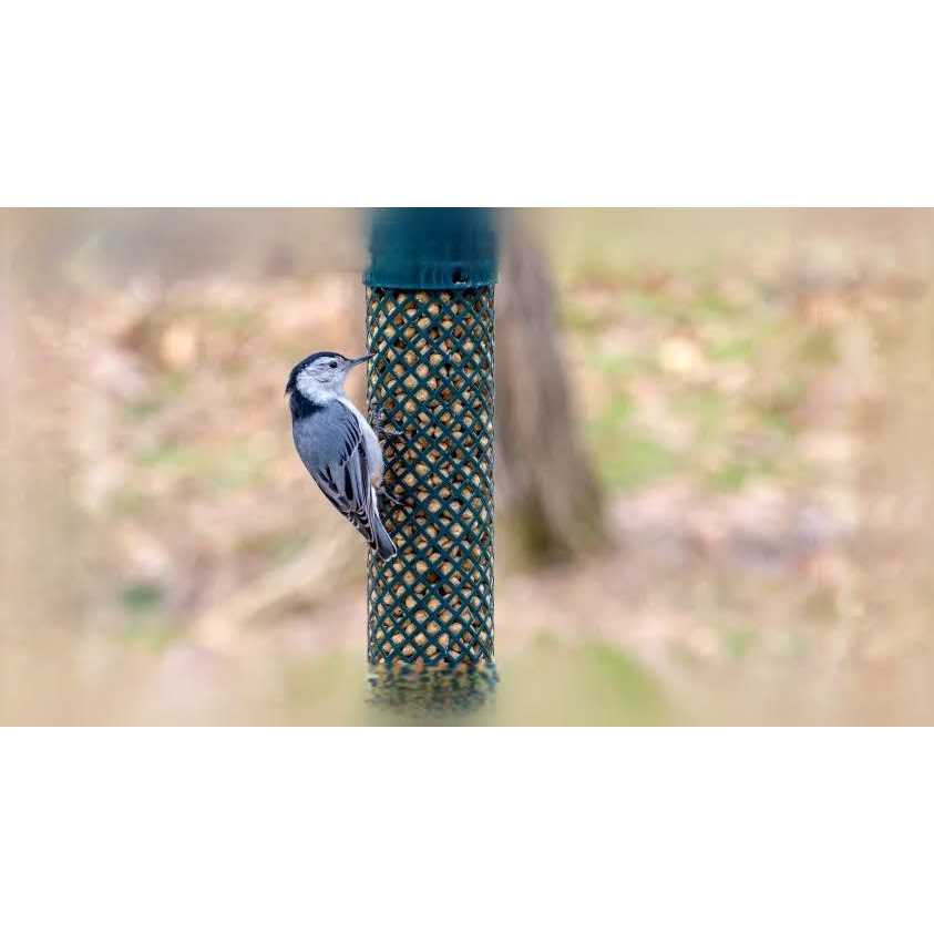 C&S Hot Pepper Delight Log 32 oz