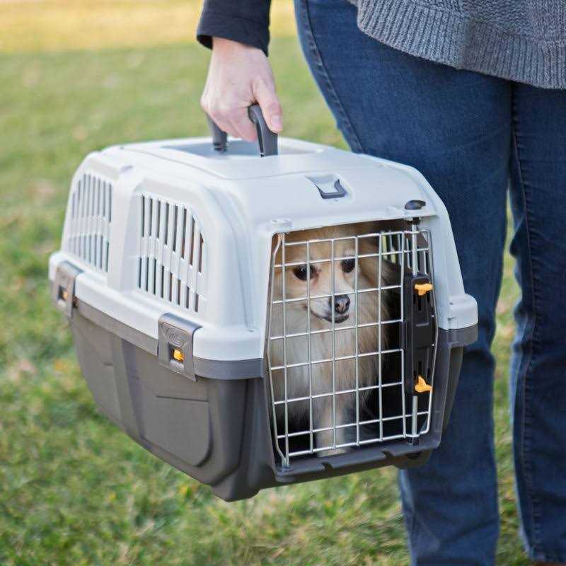 MidWest Skudo Plastic Travel Carrier