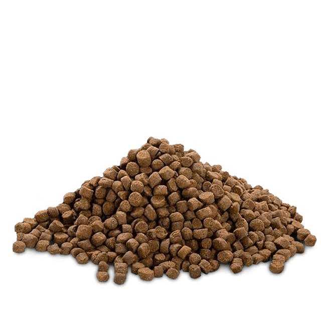 Bully Max 24/14 High Protein & Growth Puppy Food