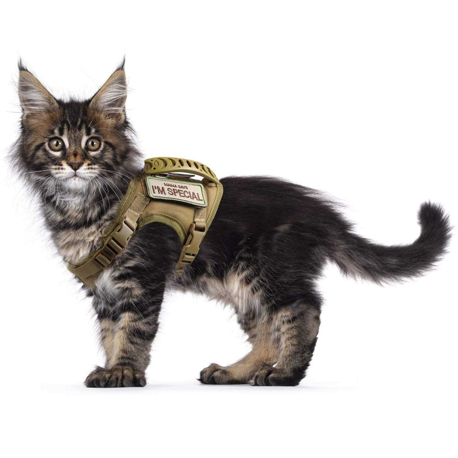 augopapa Tactical Cat Harness for Walking Escape Proof Soft Mesh Adjustable Pet Vest Harness