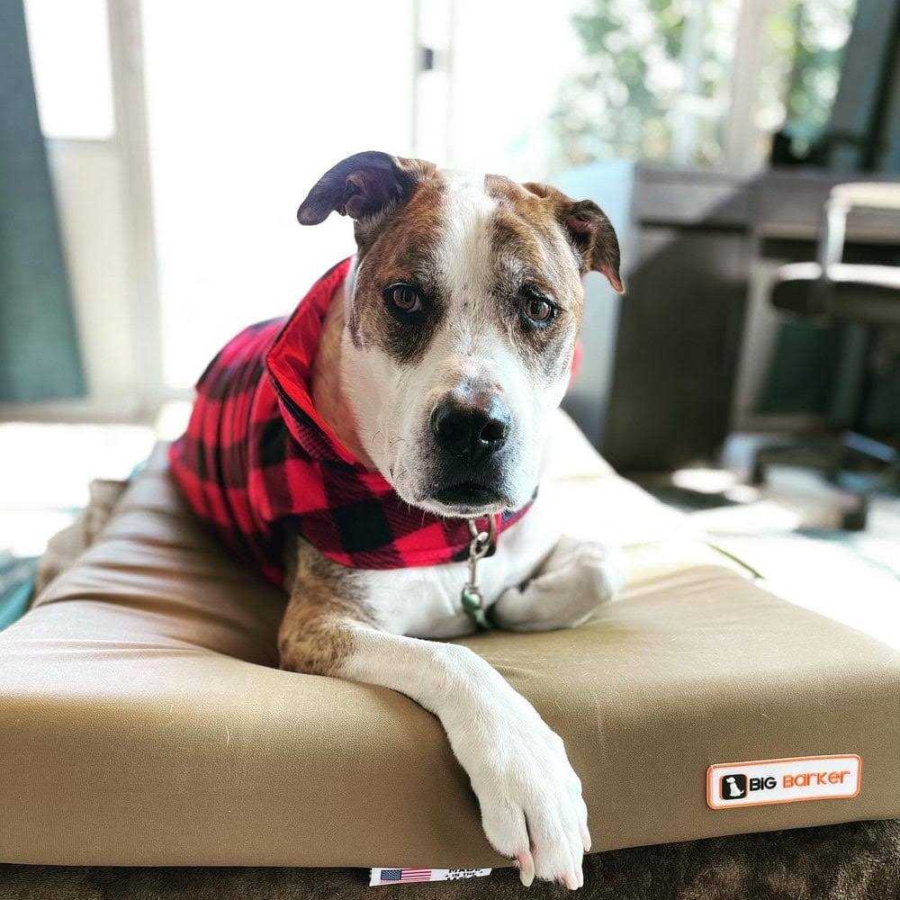 Big Barker 4 Orthopedic Crate Bed