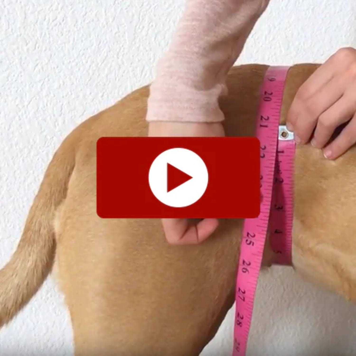 Walkabout Original Back End Harness