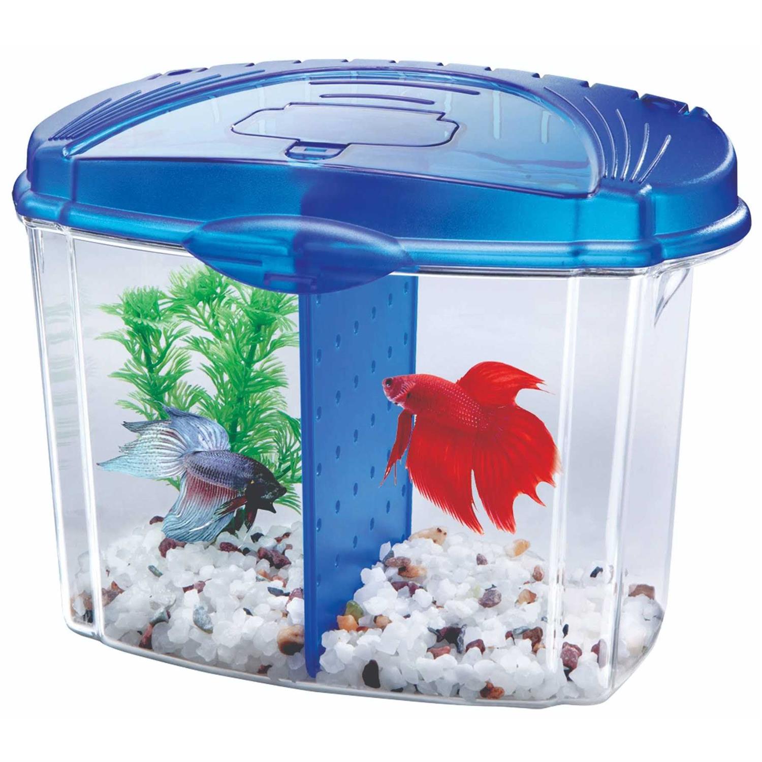 Aqueon Betta Bowl Kit