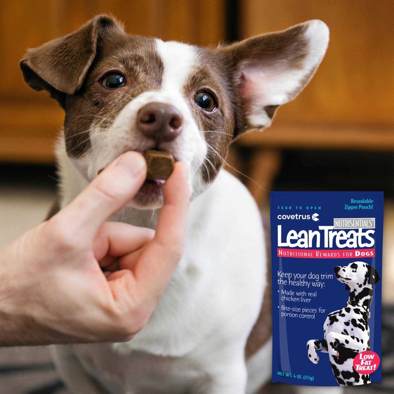 Lean Treats Dogs