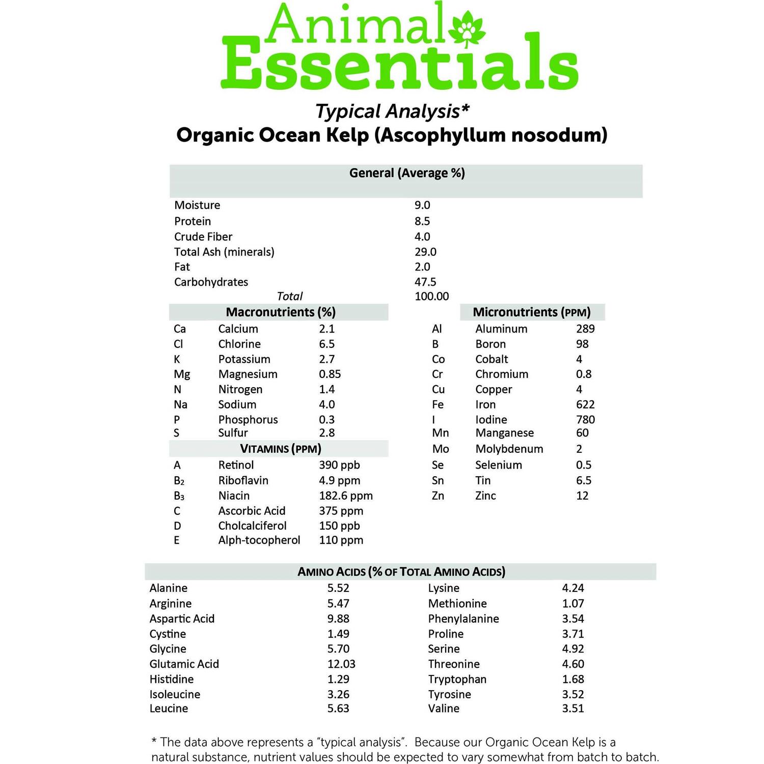 Animal Essentials Organic Ocean Kelp