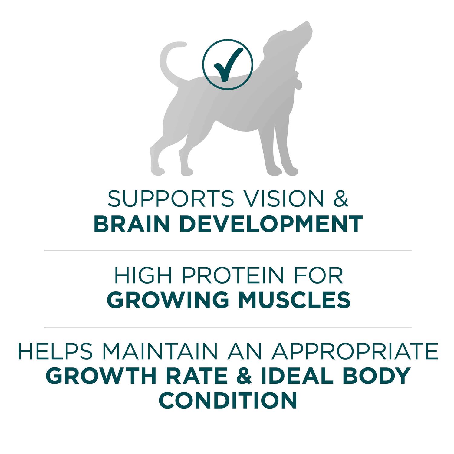 Purina ONE Large Breed Dry Puppy Food