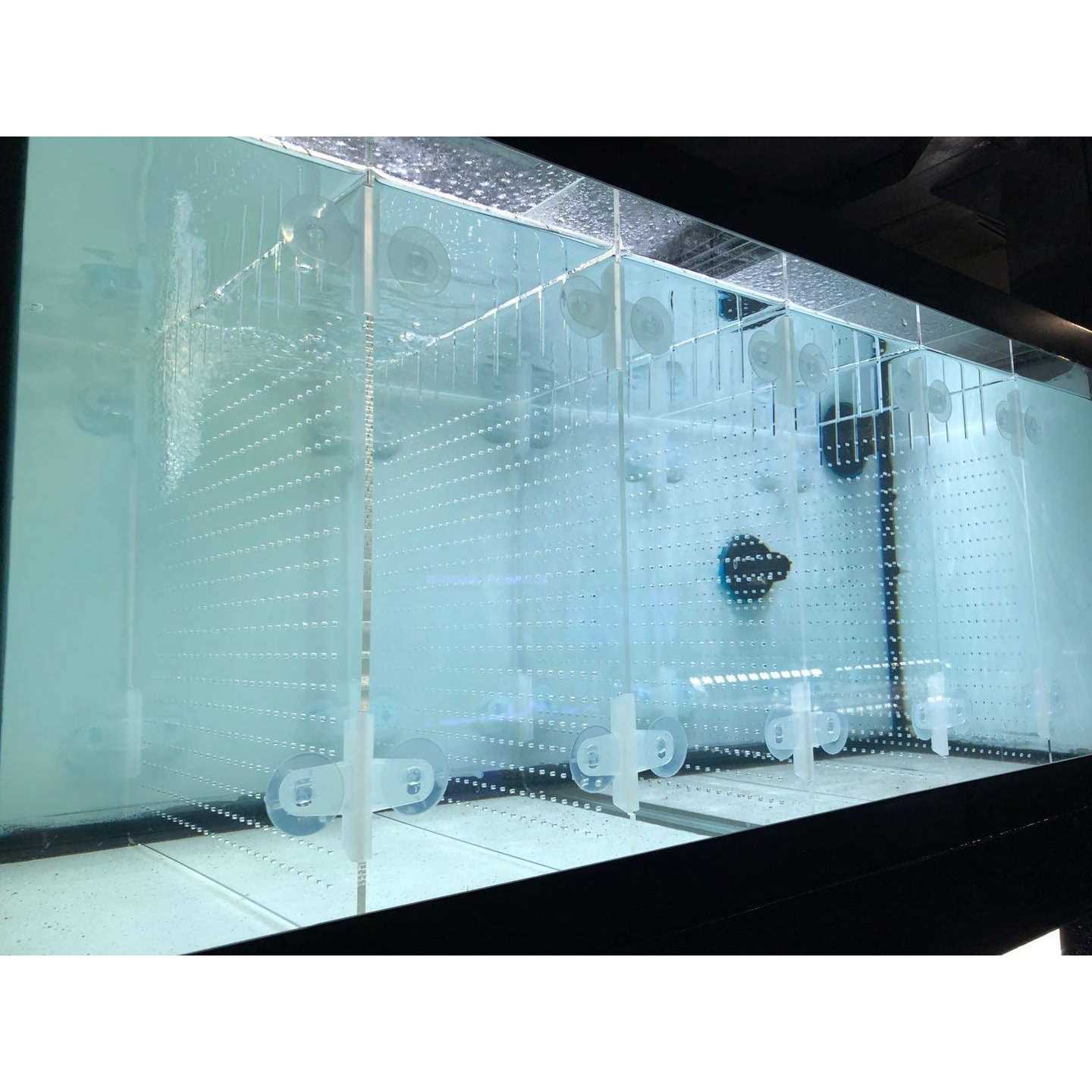 RA AquaTech Acrylic Aquarium Divider Kit 20L 20H 29 40B 125gal Fish Tank with Suction Cups