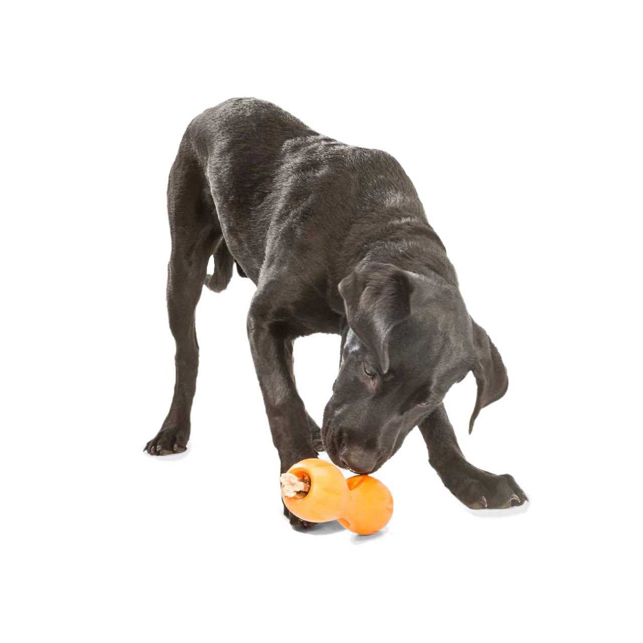 West Paw Qwizl Dog Toy