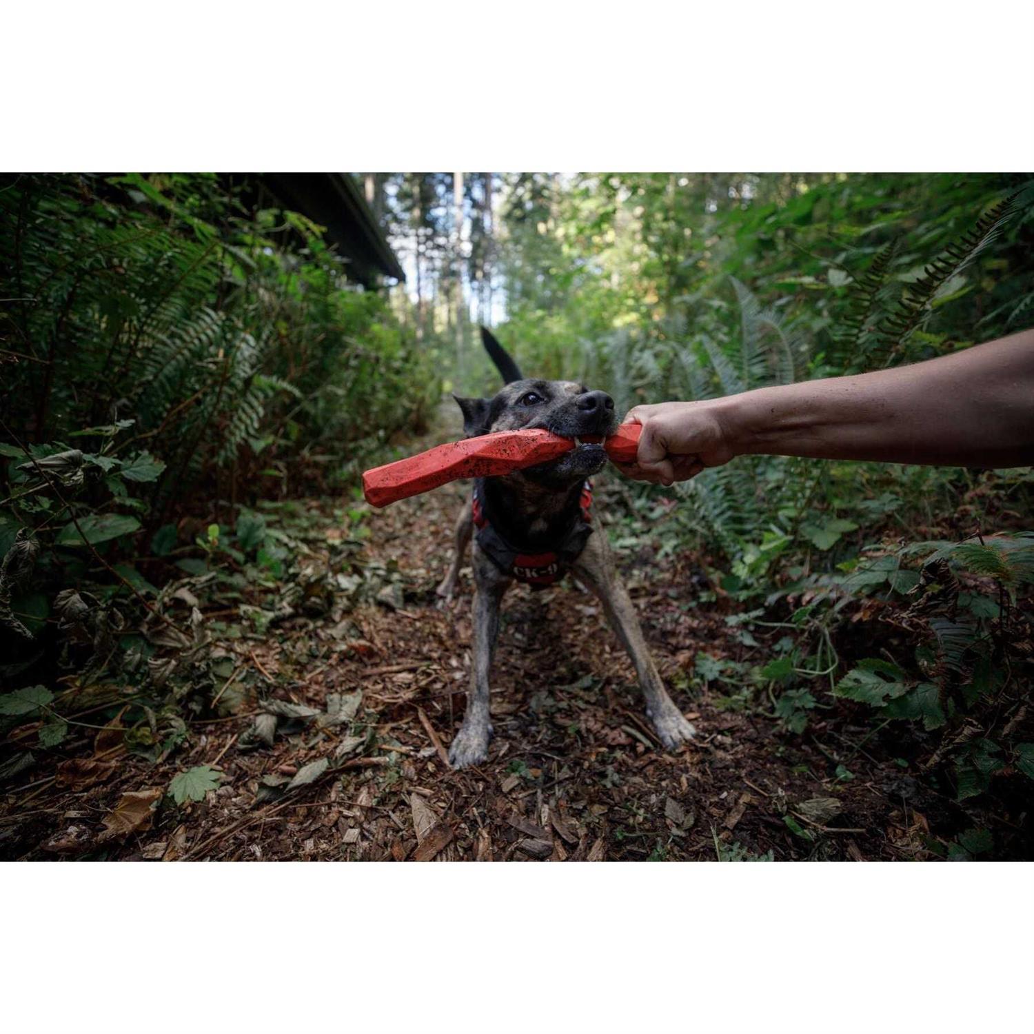 Gnawt-a-Stick Toy Ruffwear